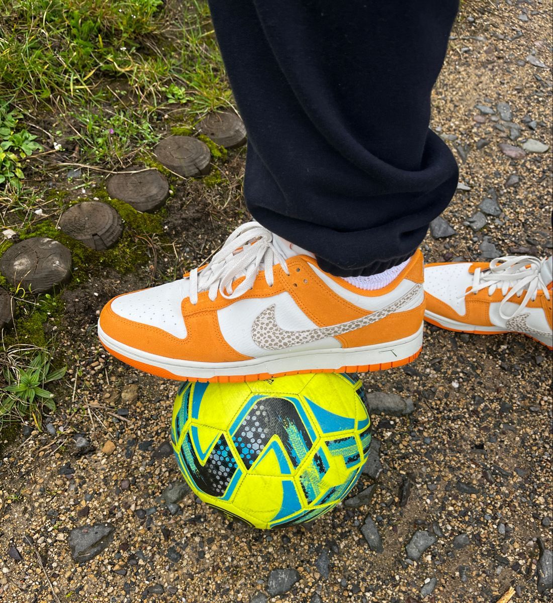 NIKE SB DUNK CHLOROPHYLL 2025
